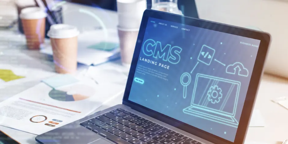 CMS Development